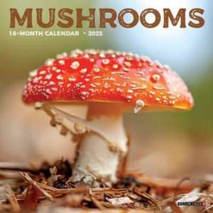 Mushrooms 2025 7 X 7 Mini Wall Calendar de Willow Creek Press