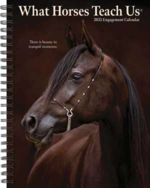 What Horses Teach Us 2025 6.5 X 8.5 Engagement Calendar de Willow Creek Press