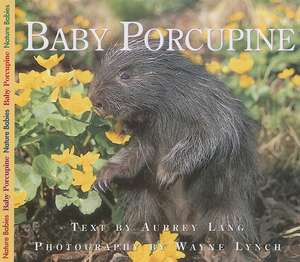 Baby Porcupine de Aubrey Lang