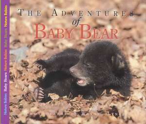 Adventures of Baby Bear de Aubrey Lang