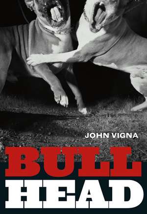 Bull Head de John Vigna