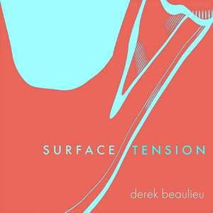 Surface Tension de Derek Beaulieu