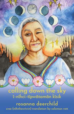 Calling Down the Sky de Rosanna Deerchild