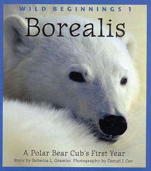 Borealis: A Polar Bear Cub's First Year de Rebecca L. Grambo