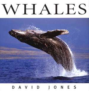 Whales de DAVID JONES