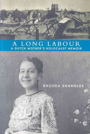 A Long Labour de Rhodea Shandler