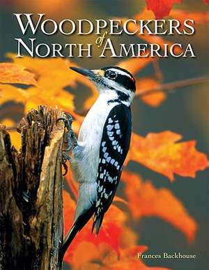 Woodpeckers of North America de Frances Backhouse