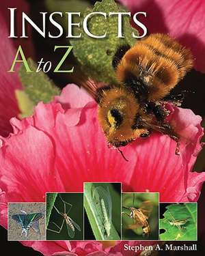 Insects A to Z de Stephen A. Marshall