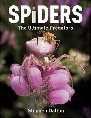 Spiders: The Ultimate Predators de Stephen Dalton