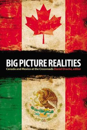 Big Picture Realities de Daniel Drache