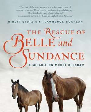 The Rescue Of Belle And Sundance de Birgit Stutz