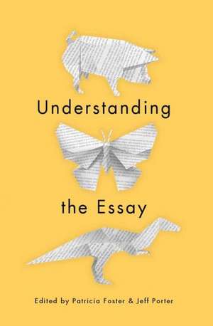 Understanding the Essay de Patricia Foster