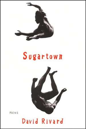 Sugartown de David Rivard