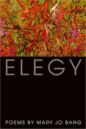 Elegy de Mary Jo Bang