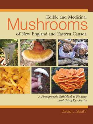 Edible and Medicinal Mushrooms of New England and Eastern Canada de David L. Spahr