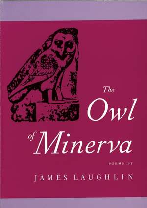 Owl of Minerva: The Battle for Children and Custody de James Laughlin