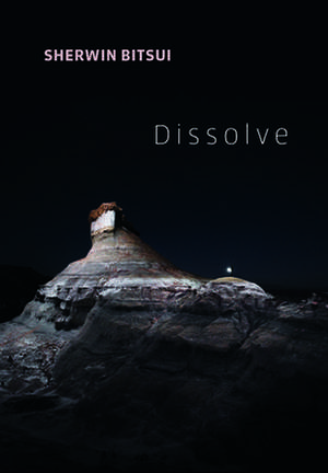 Dissolve de Sherwin Bitsui