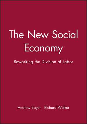 The new Social Economy: Reworking the Division of Labor de Sayer