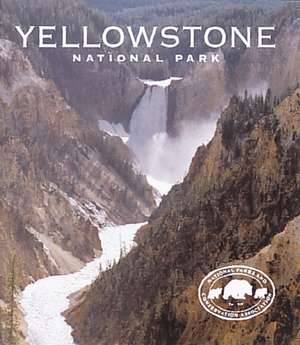 Yellowstone National Park de David Dunbar