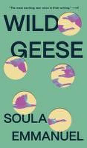 Wild Geese de Soula Emmanuel