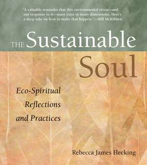 The Sustainable Soul: Eco-Spiritual Reflections and Practices de Rebecca James Hecking