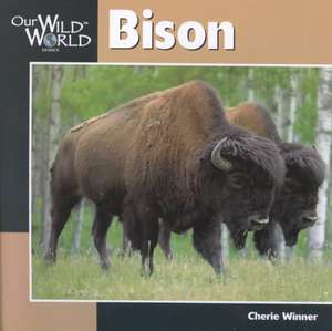 Bison de Cherie Winner