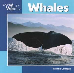 Whales de Patricia Corrigan