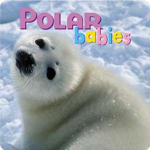 Polar Babies de Creative Publishing International