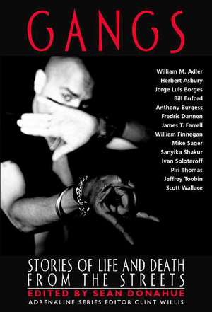 Gangs: Stories of Life and Death from the Streets de Sean Donahue