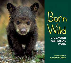 Born Wild in Glacier National Park de Jones