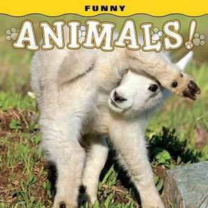 Funny Animals! de Steph Lehmann