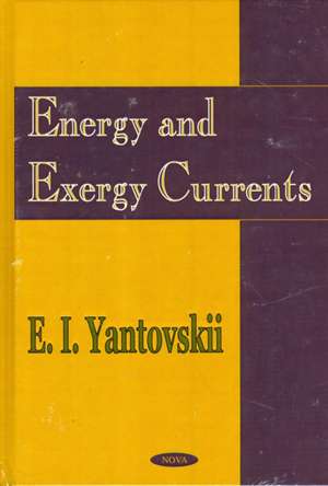 Energy & Exergy Currents: An Introduction to Exergonomics de E I Yantovski