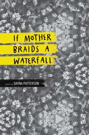 If Mother Braids a Waterfall de Dayna Patterson