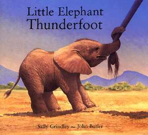 Little Elephant Thunderfoot de Sally Grindley