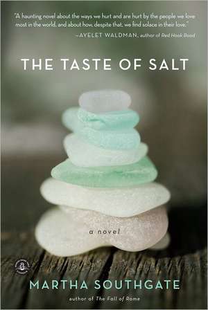 The Taste of Salt de Martha Southgate