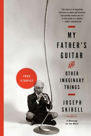 My Father's Guitar and Other Imaginary Things de Joseph Skibell