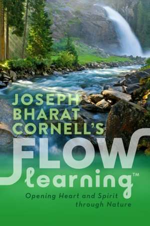 Flow Learning de Joseph Bharat Cornell