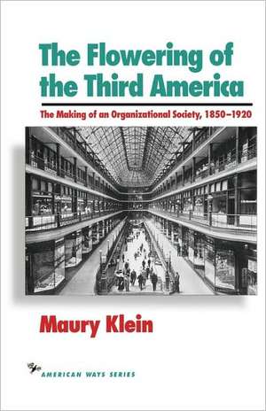 The Flowering of the Third America de Maury Klein