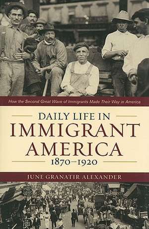 Daily Life in Immigrant America, 1870-1920 de June Granatir Alexander