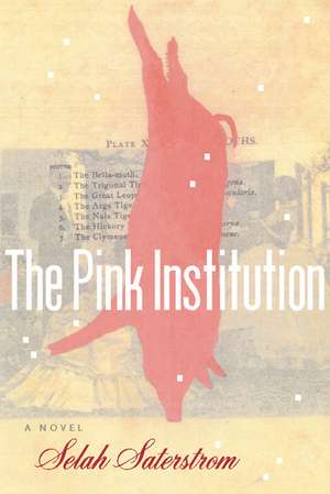 The Pink Institution de Selah Saterstrom