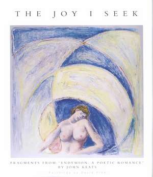 The Joy I Seek de David Finn