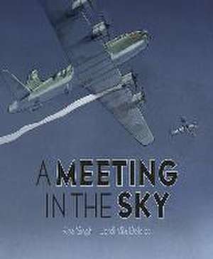 A Meeting in the Sky de Rina Singh