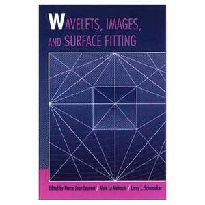 Wavelets, Images, and Surface Fitting de Pierre-Jean Laurent