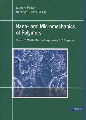 Nano- And Micromechanics of Polymers: Structure Modification and Improvement of Properties de Goerg H. Michler