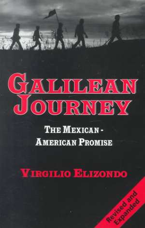 Galilean Journey: The Mexican-American Promise de Jacques Audinet