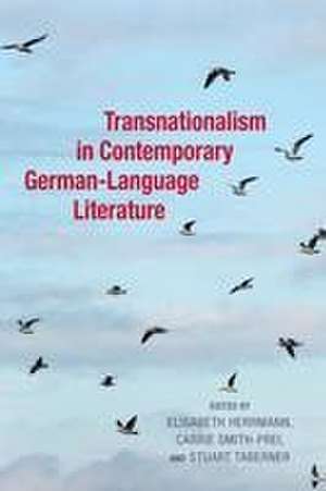 Transnationalism in Contemporary German–Language Literature de Elisabeth Herrmann