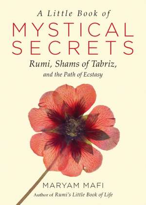 A Little Book of Mystical Secrets de Maryam Mafi