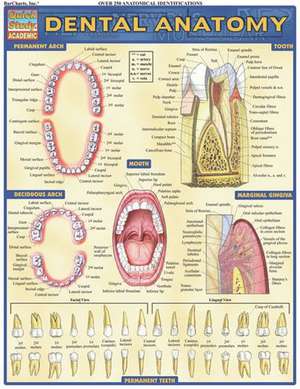 Dental Anatomy de Vincent Perez