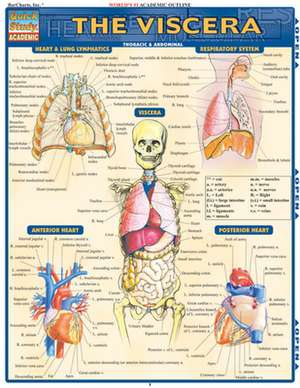 The Viscera de BarCharts Inc