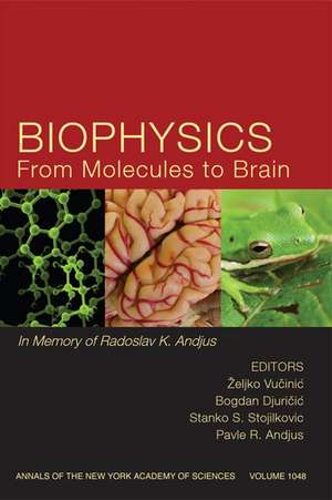 Biophysics From Molecules to Brain: In Memory of Radolslav K. Andjus de Z Vucinic